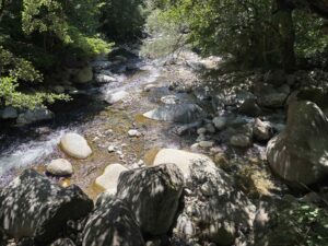 viber изображение 2026 07 24 17 27 18 117